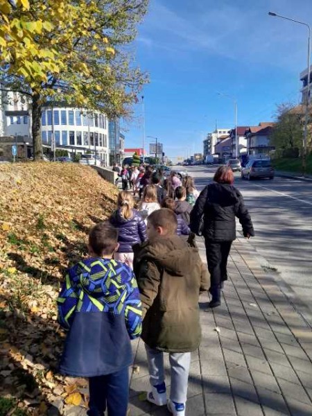 viber_image_2025-11-17_21-48-26-488