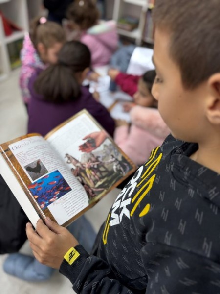 viber_image_2025-11-28_21-11-38-760